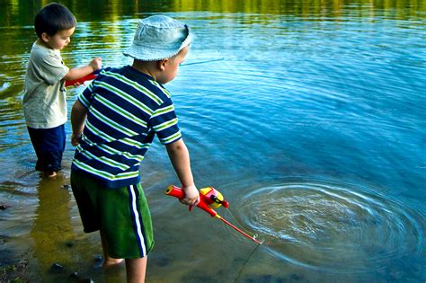 fish videos for kids.